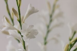Saunatonne im Garten: Was vor der Planung wichtig ist